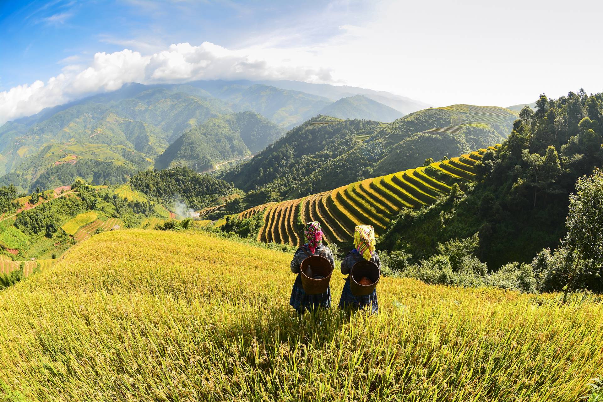 Viza pentru pensionari în Vietnam – Stil de viață exotic și accesibil