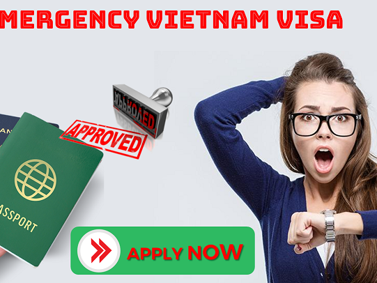 Vietnam Te Așteaptă - Viza pentru Voluntariat în 2025