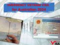 Emergency Vietnam visa Lunar New Year, Fast track visa Vietnam Feb 2026